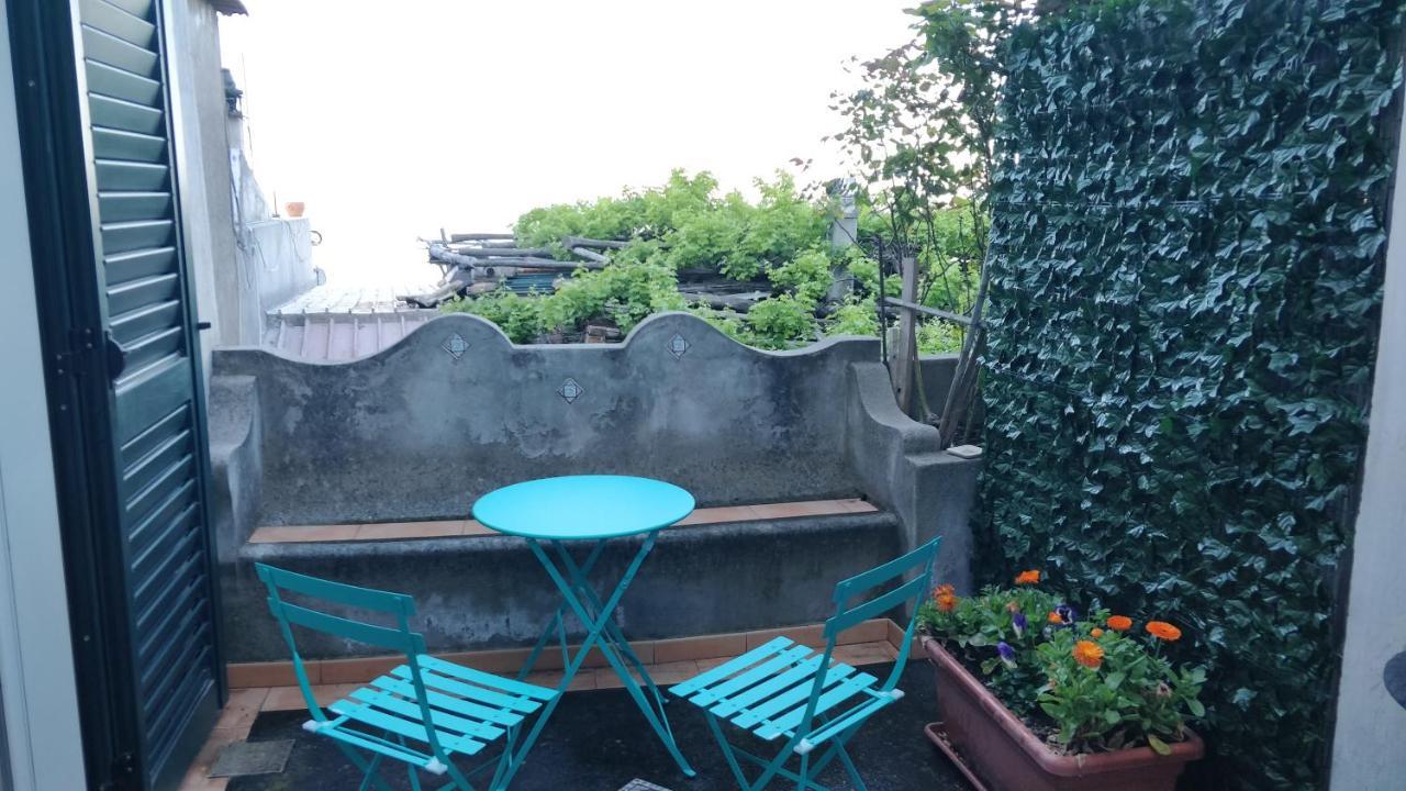 Magnolia Apartment *