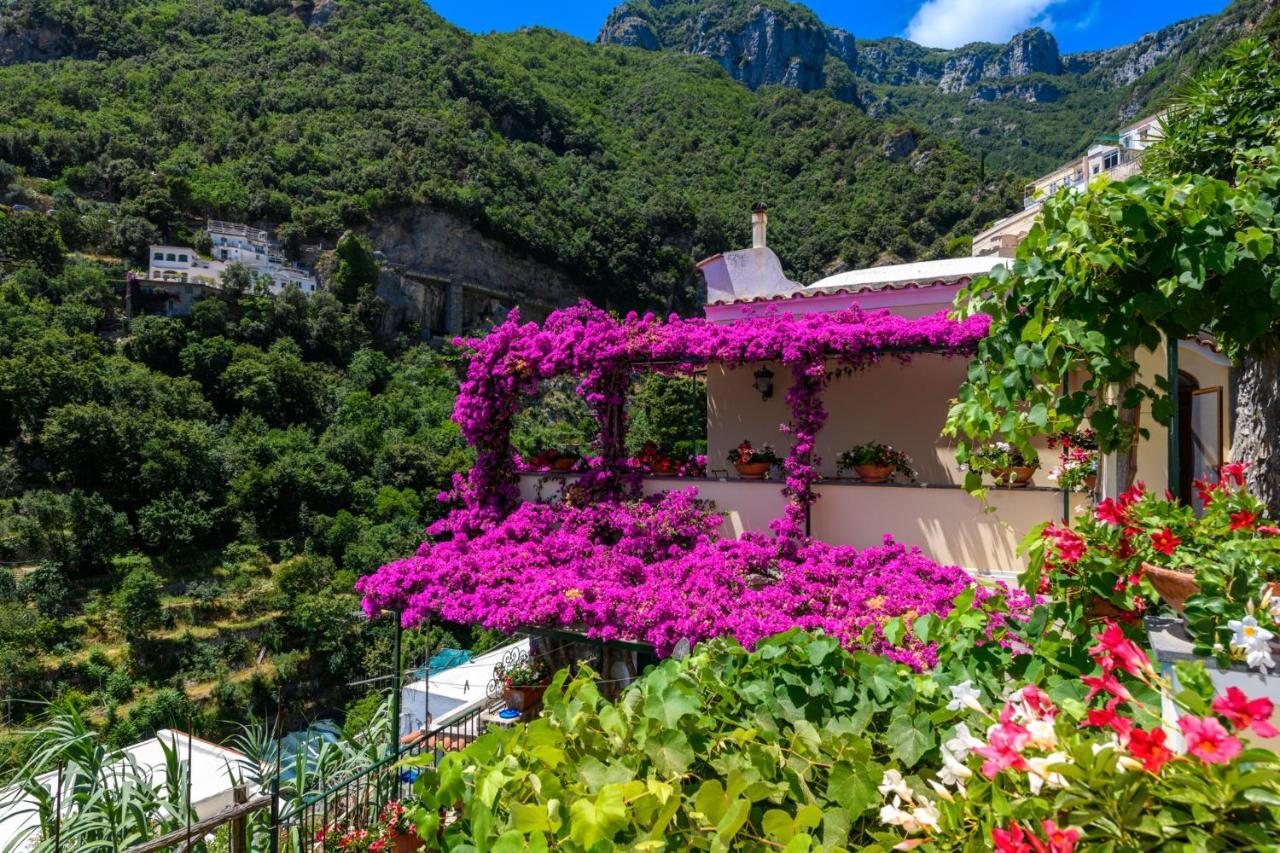 La Leonessa * Positano