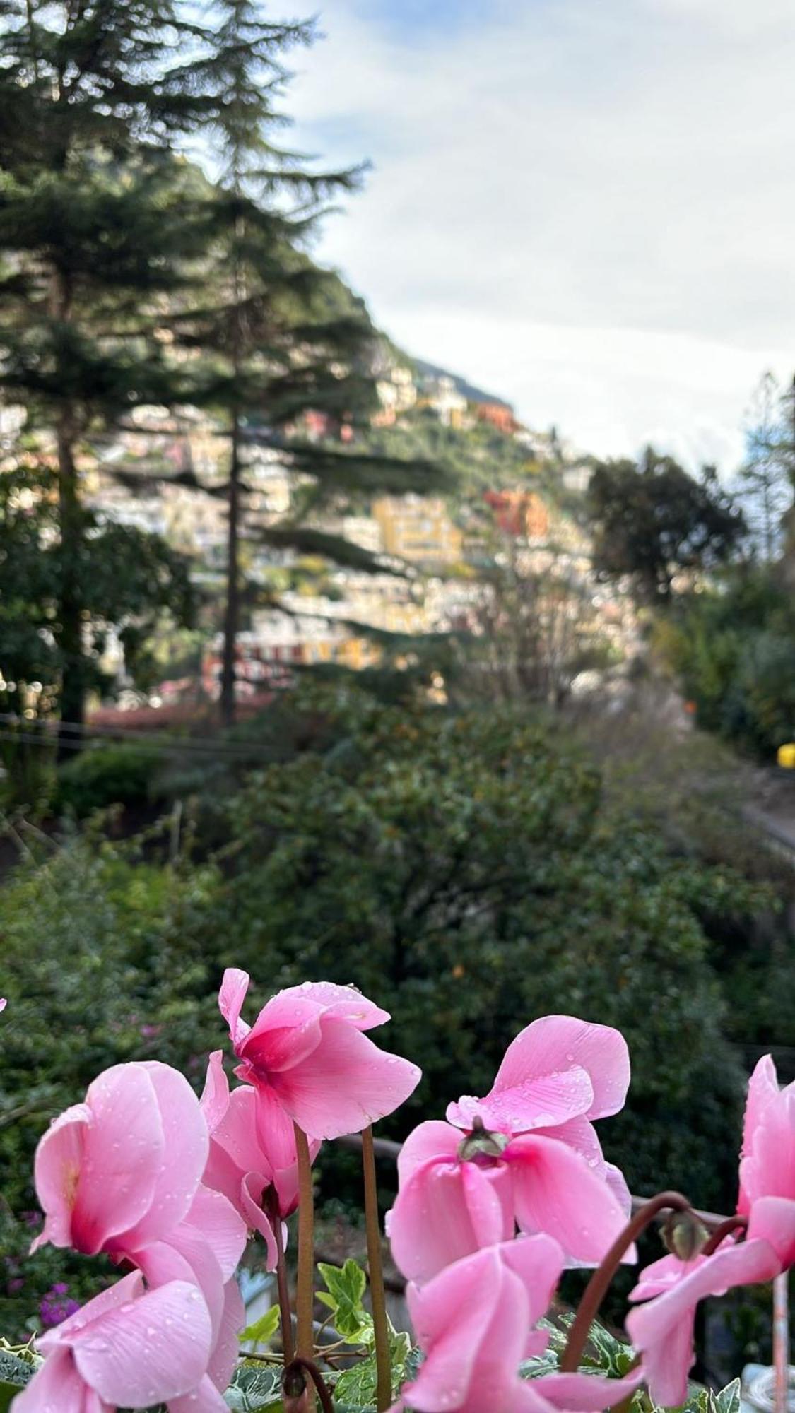 Holiday home Leonardo In The Heart Of Positano