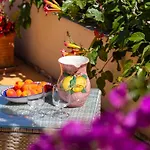 Il Pettirosso In Positano