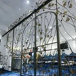 Positano Art Hotel Pasitea
