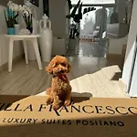 Villa Francesco Luxury Suites