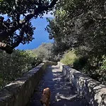 Casa Degli Dei, Angolo Di Paradiso Nocelle-Positano