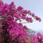 La Terrazza Di Positano
