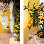 Villa Cocles - Positano