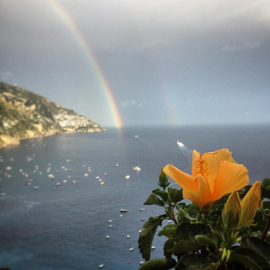 Frühstückspension Briganti Seaview Terrace Positano
