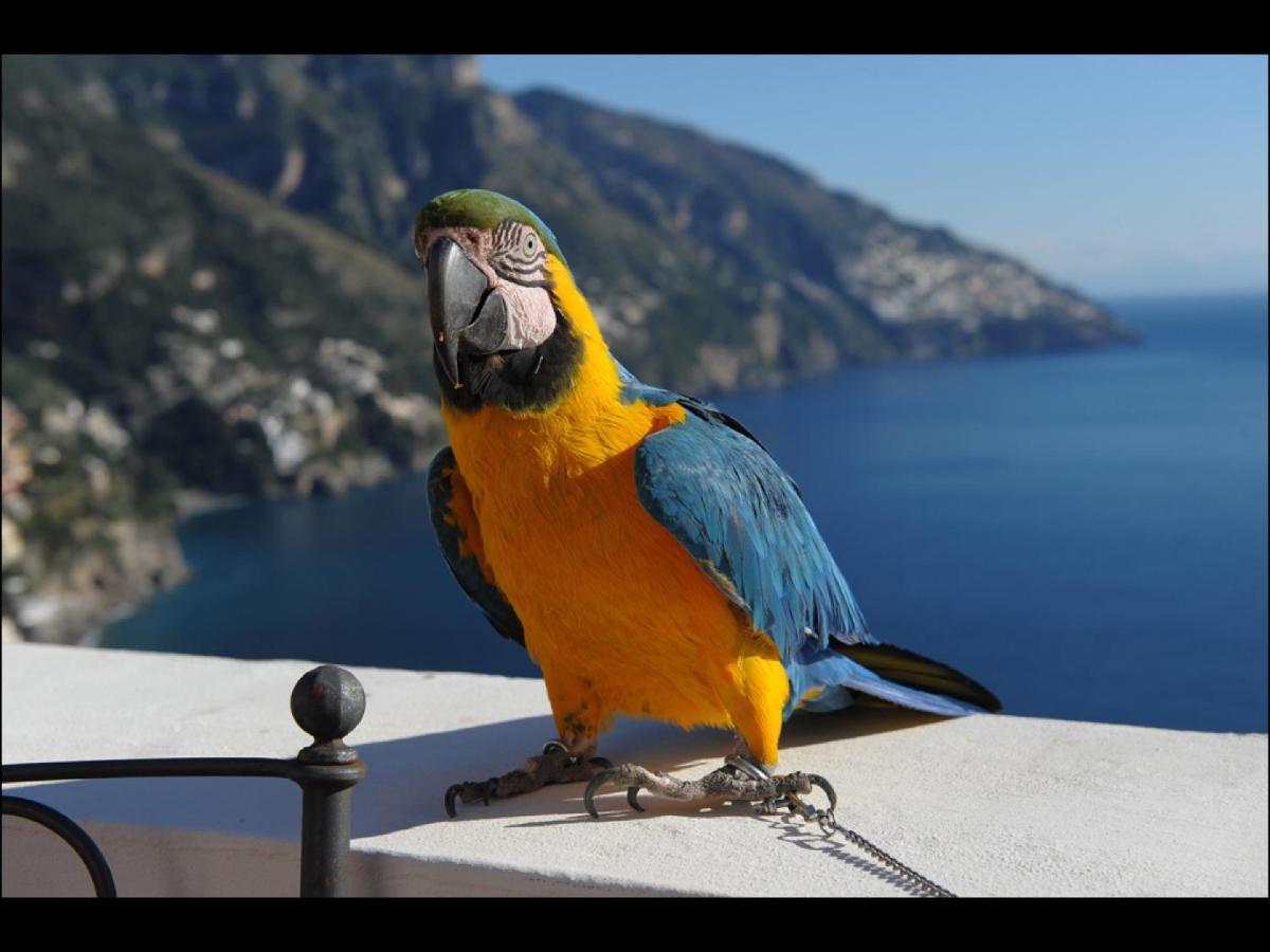 Briganti Seaview Terrace 2*