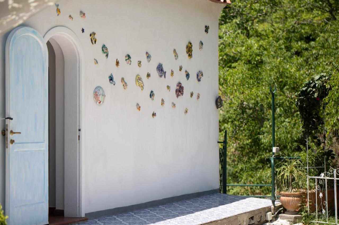 Dormidame Bed & Breakfast
