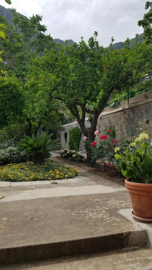 Holiday home Casa Anna Positano