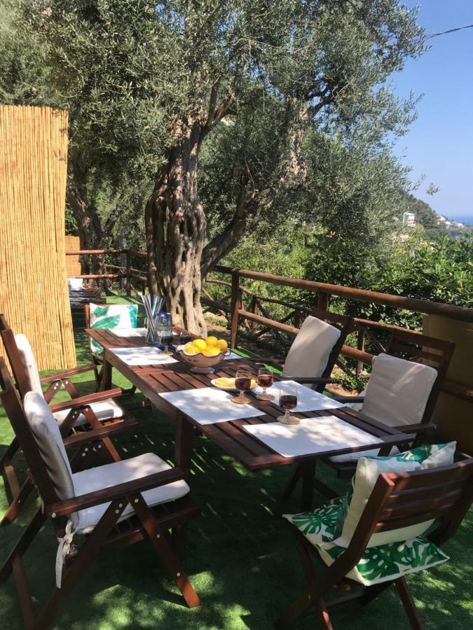Maison Don Rafe'