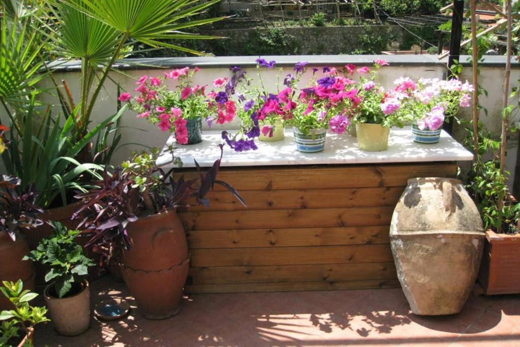 Casa Celidea *