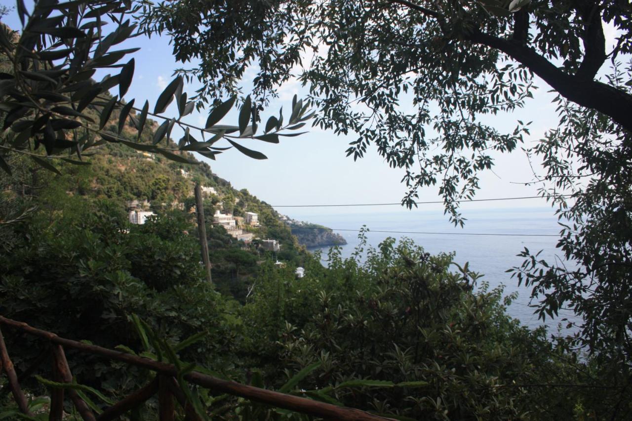 Maison Don Rafe' Positano