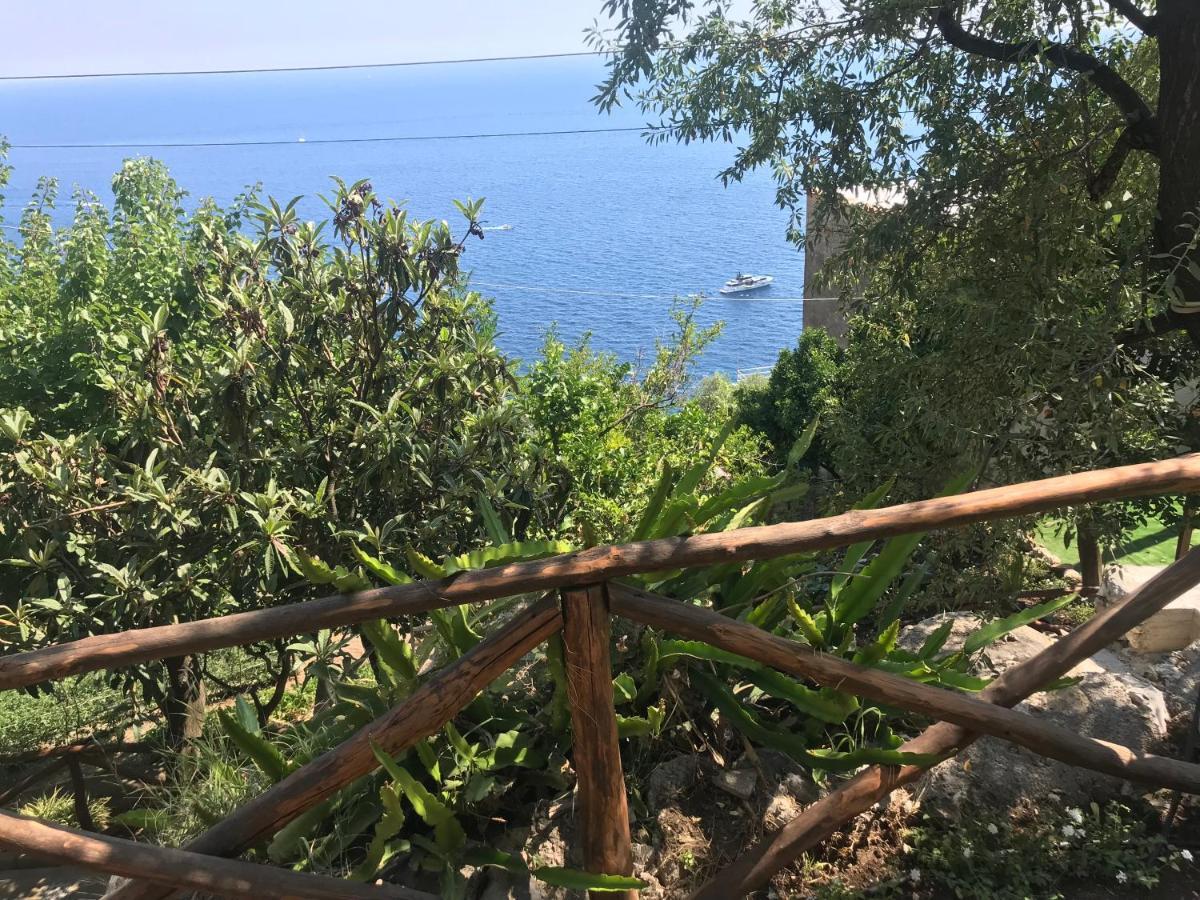 Villa Maison Don Rafe' *