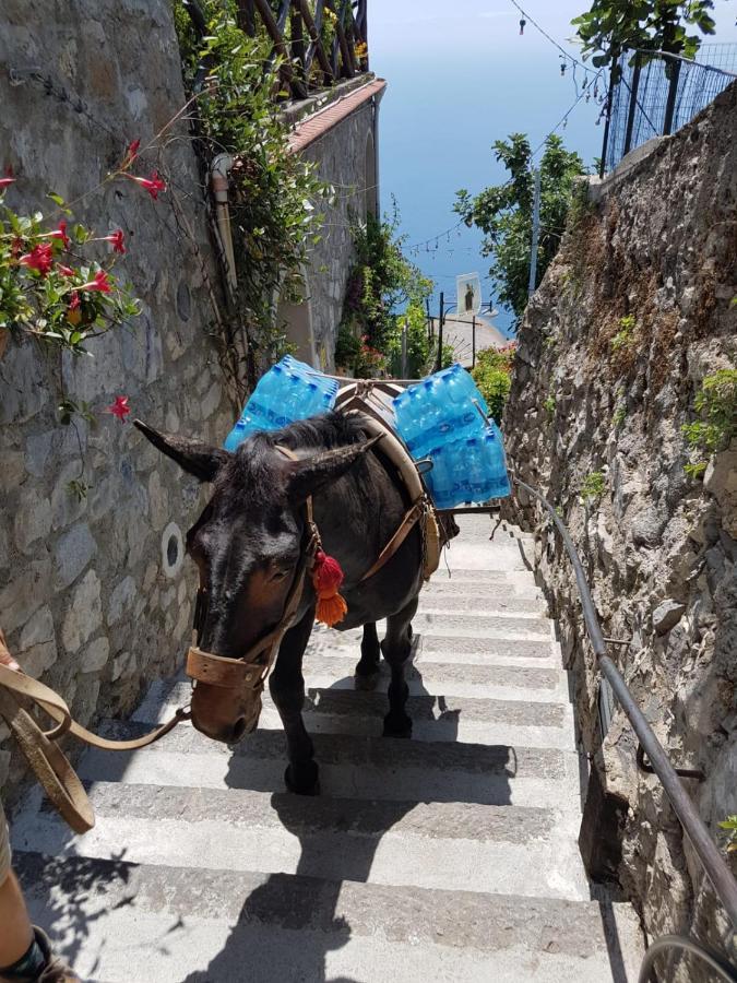 Holiday home Estate4home - Goat Path