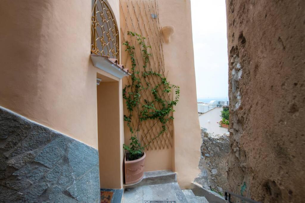 Il Giardino Dei Limoni Positano