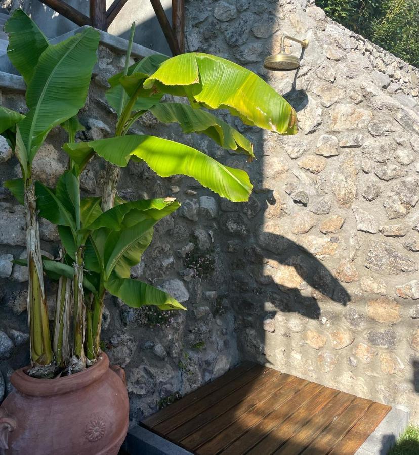 Villa De Rosa