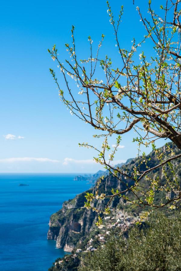 Yourhome - Casa Ivi * Positano
