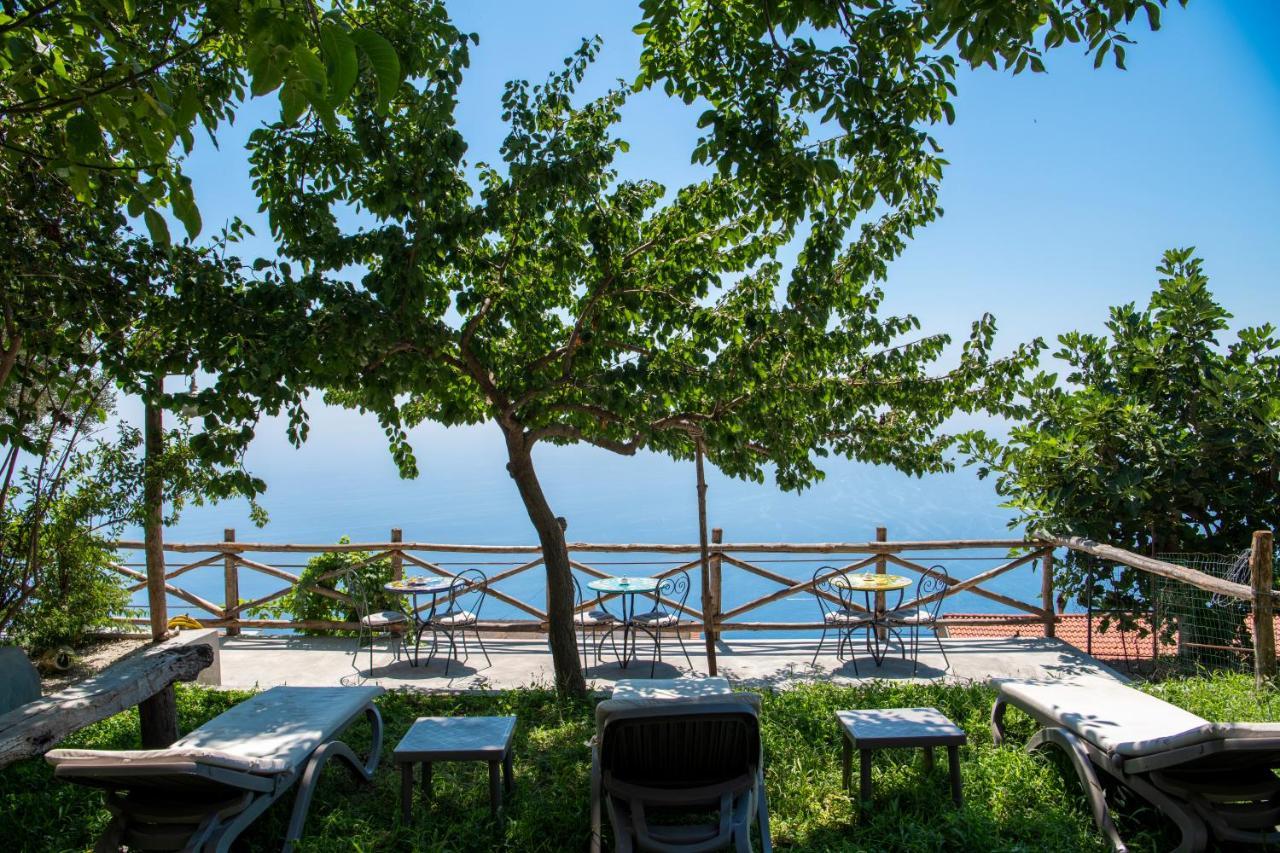 La Borragine Bed & Breakfast Positano