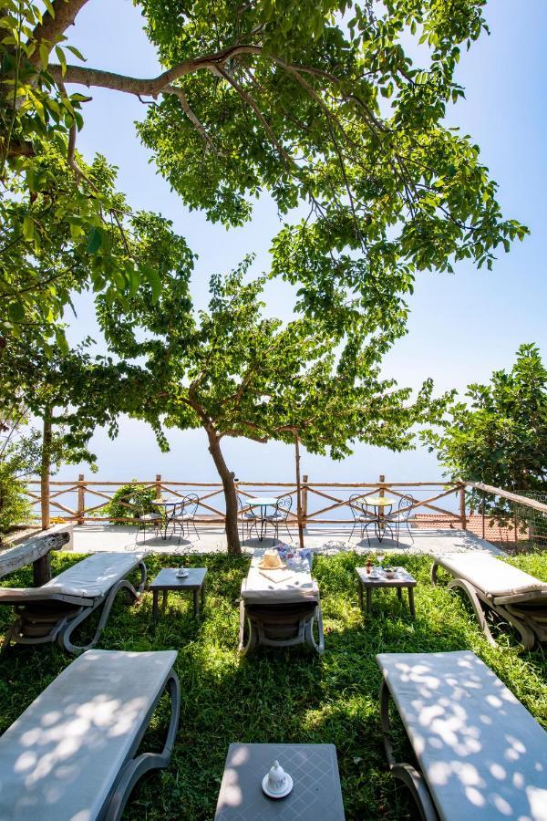 Bed & Breakfast La Borragine Positano