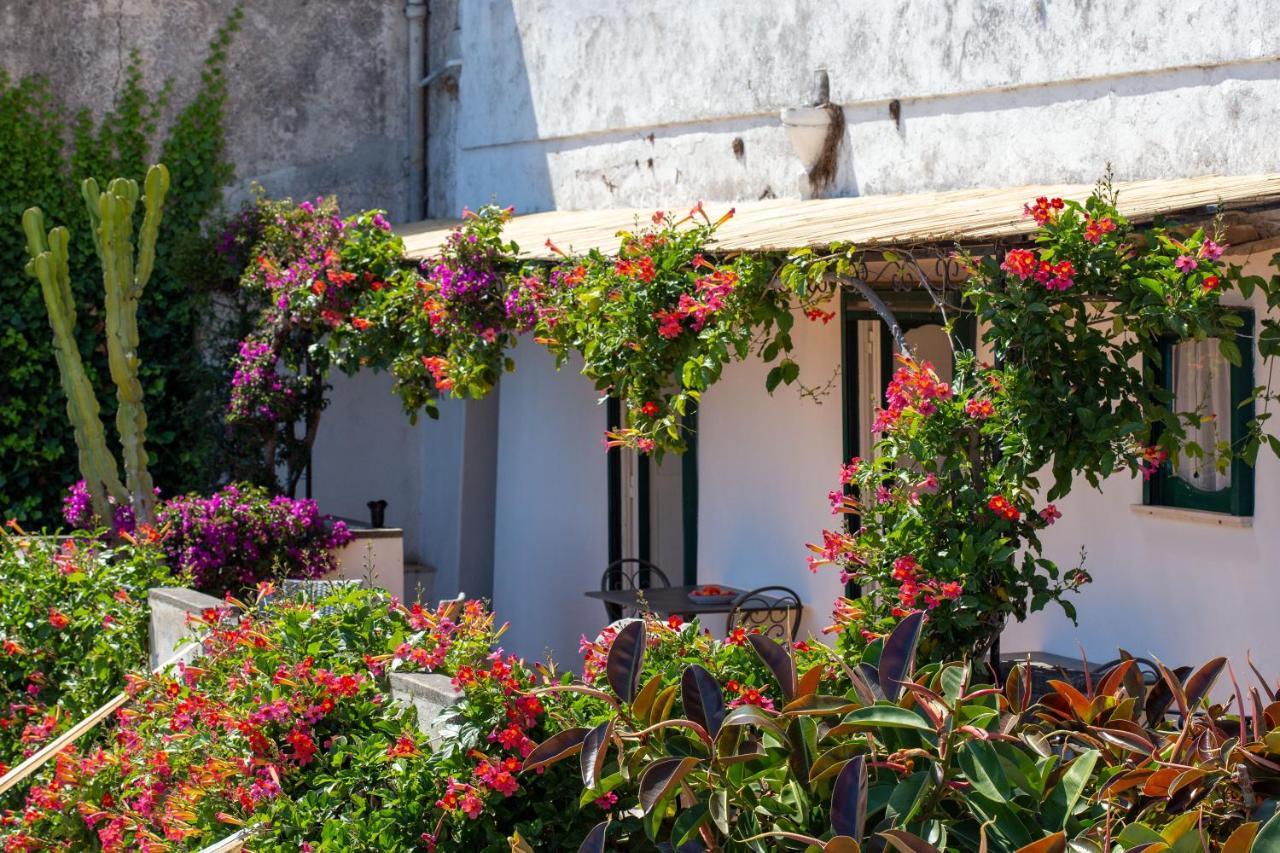 Il Pettirosso In * Positano