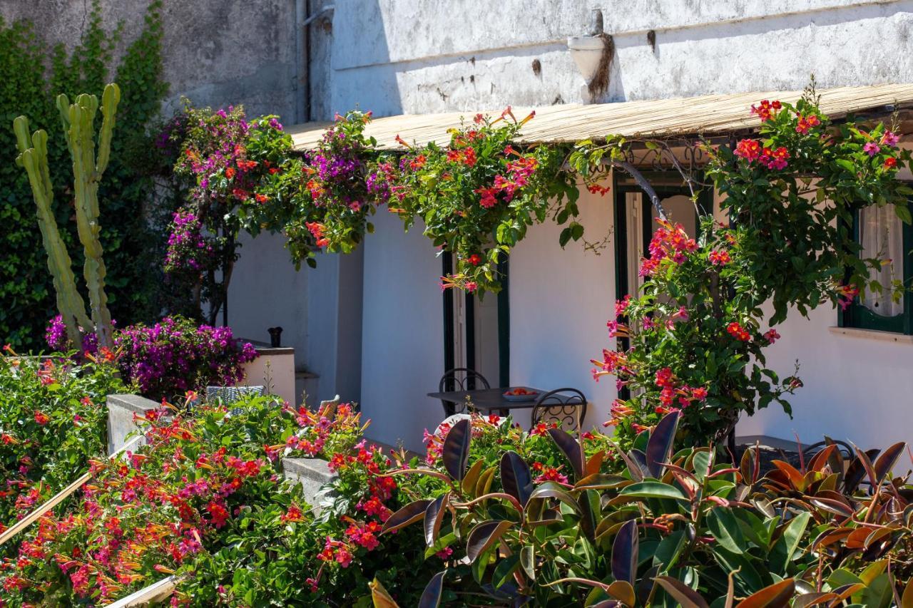 Il Pettirosso In Positano