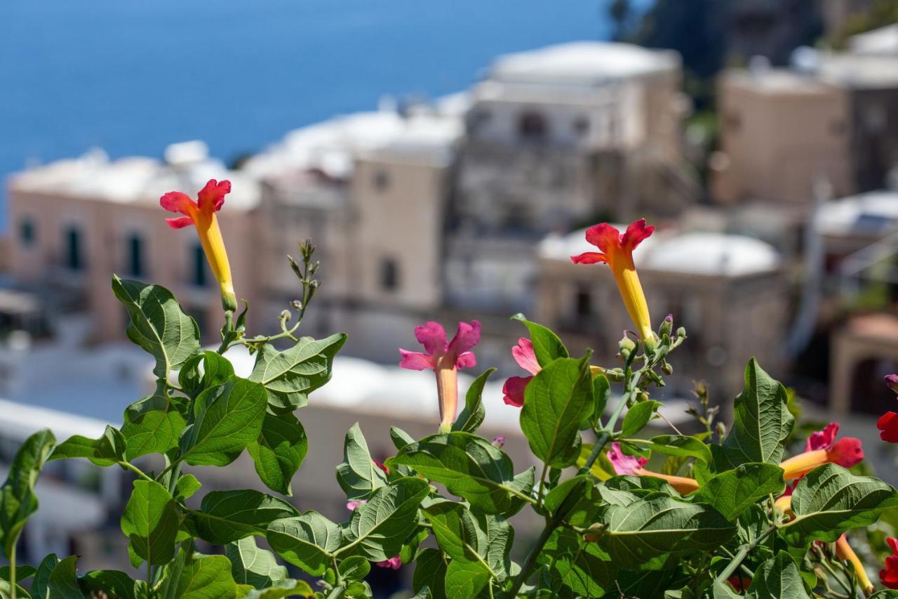 Holiday home Il Pettirosso In