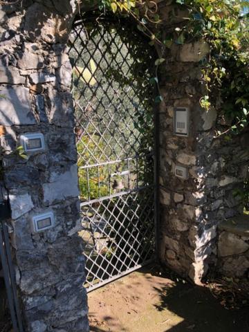 Villa Secret Garden In Nocelle Positano