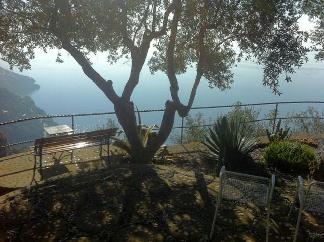Secret Garden In Nocelle Villa *