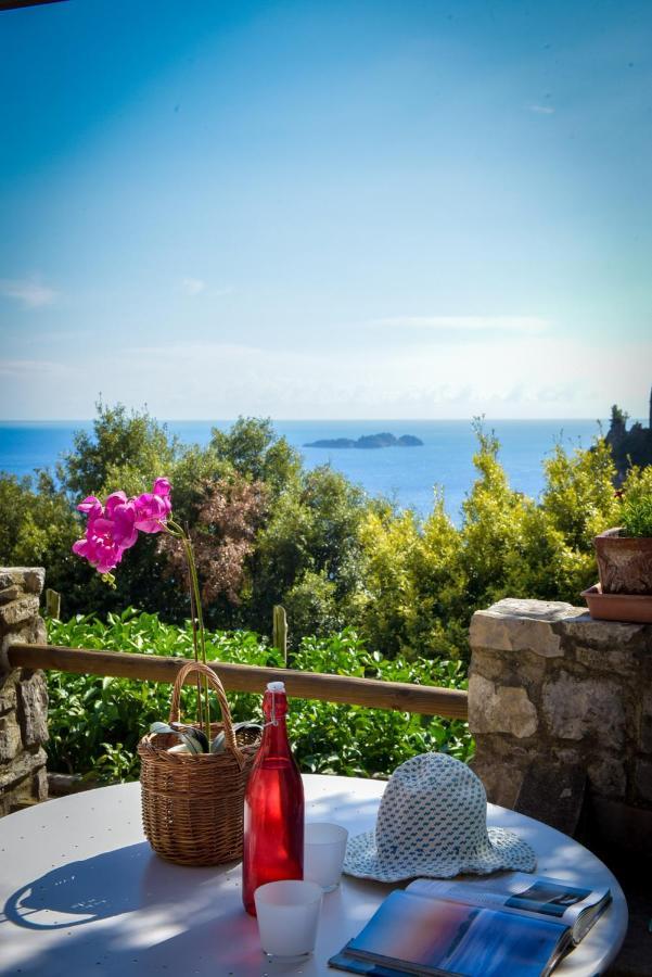 Punta Del Sole Apartment Positano