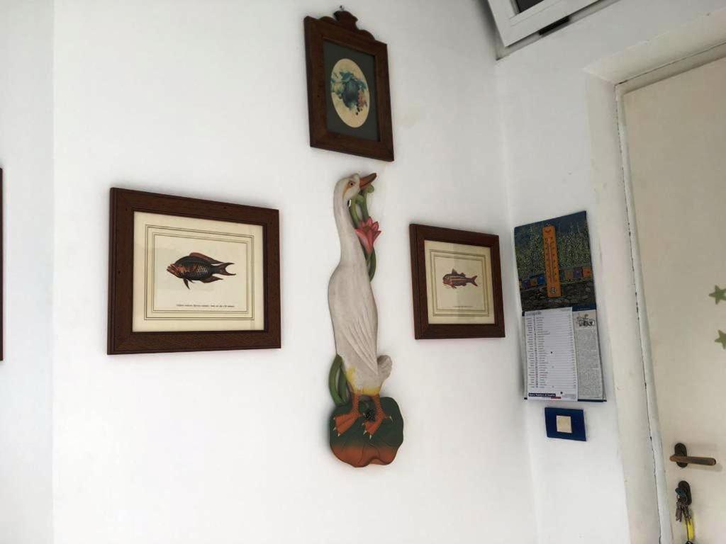 Casa Emanuela Holiday home *