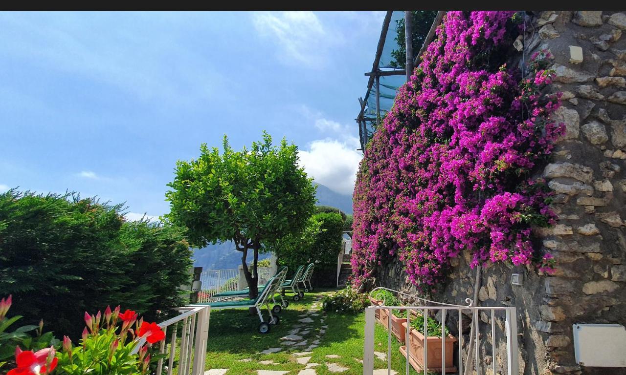 Bed & Breakfast La Maliosa 3*