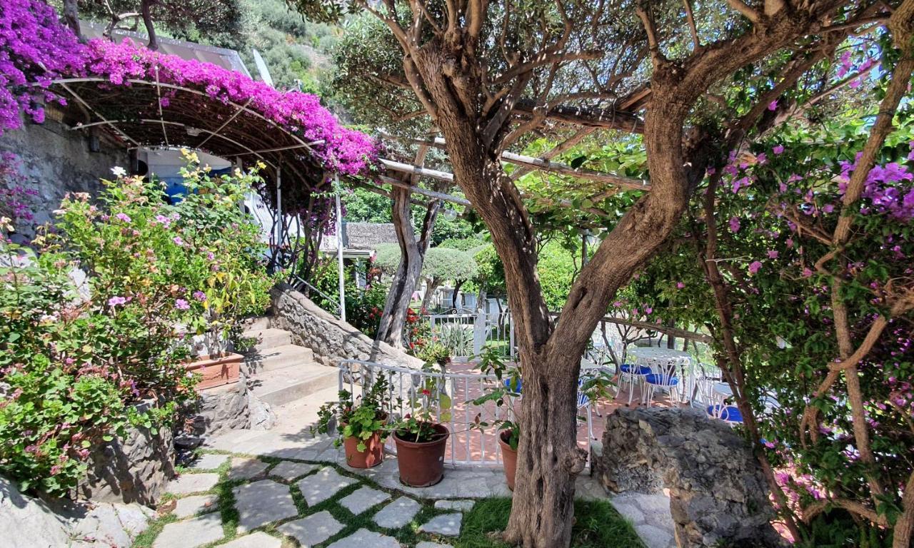 La Maliosa Bed & Breakfast Positano