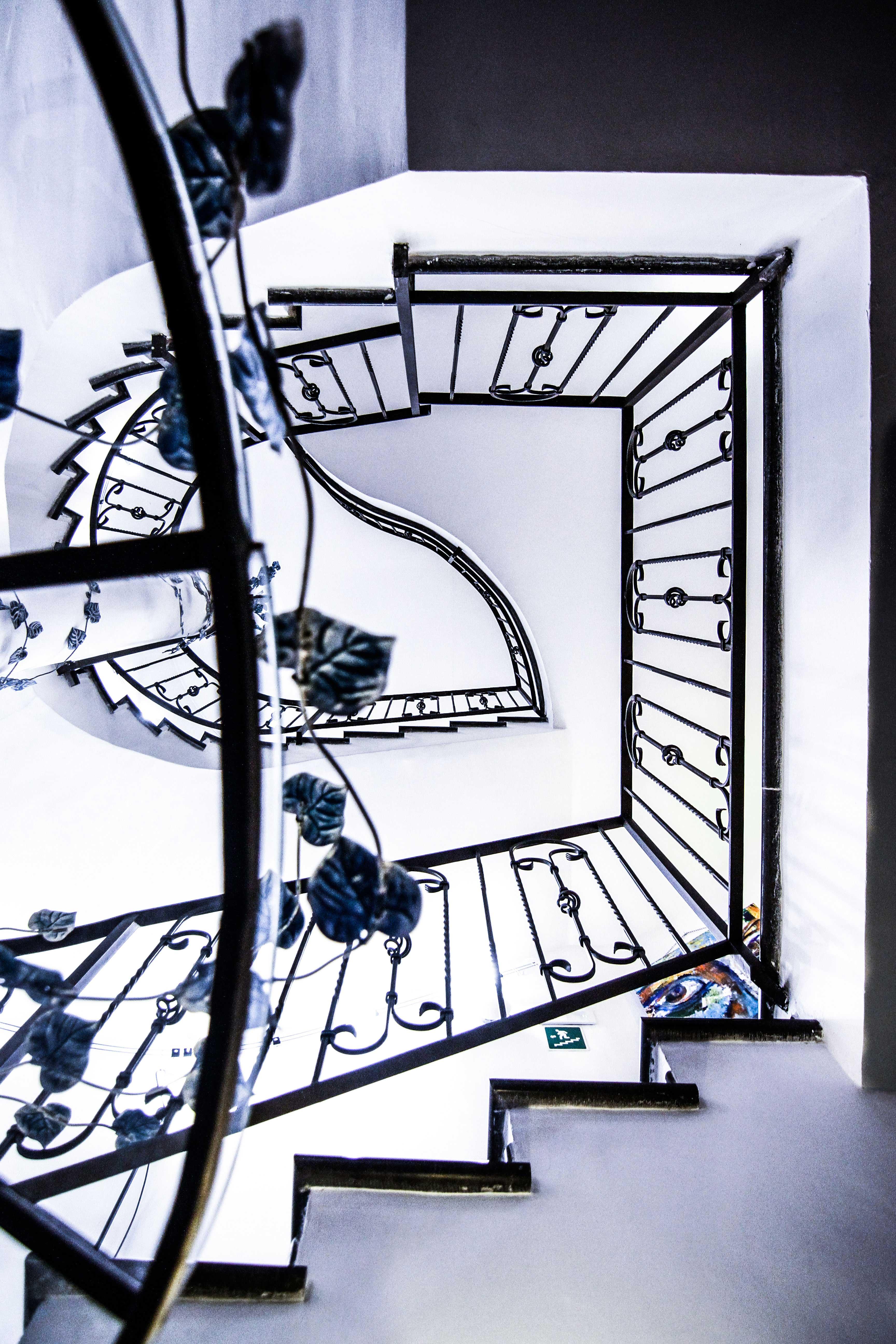 Hotel Art Pasitea 4*