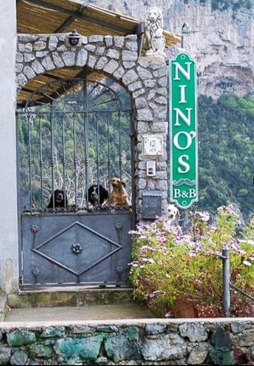 Homestay Nino's In Nocelle *