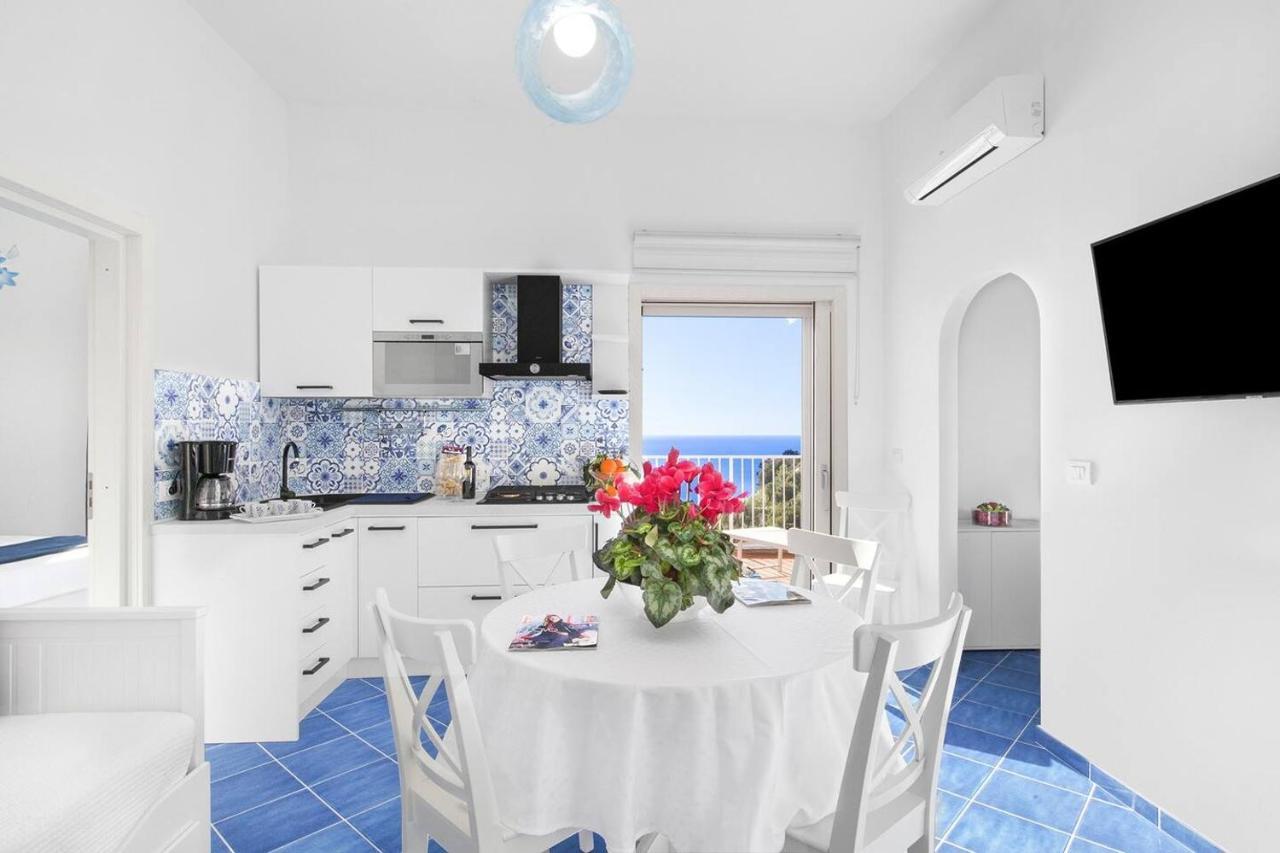 Bluevista Dreamscape -terrace Jacuzzi/hot Tub Holiday home Positano