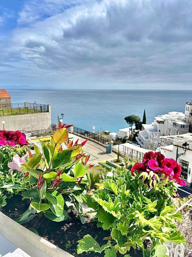 Hotel Delle Palme In