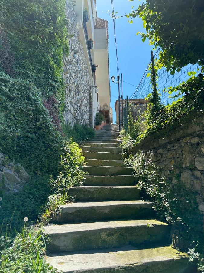 Bed & Breakfast Mamma Rosa *