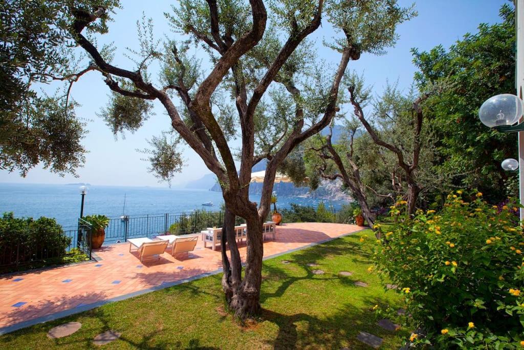 La - Luxury With Private Sea Access Villa Positano