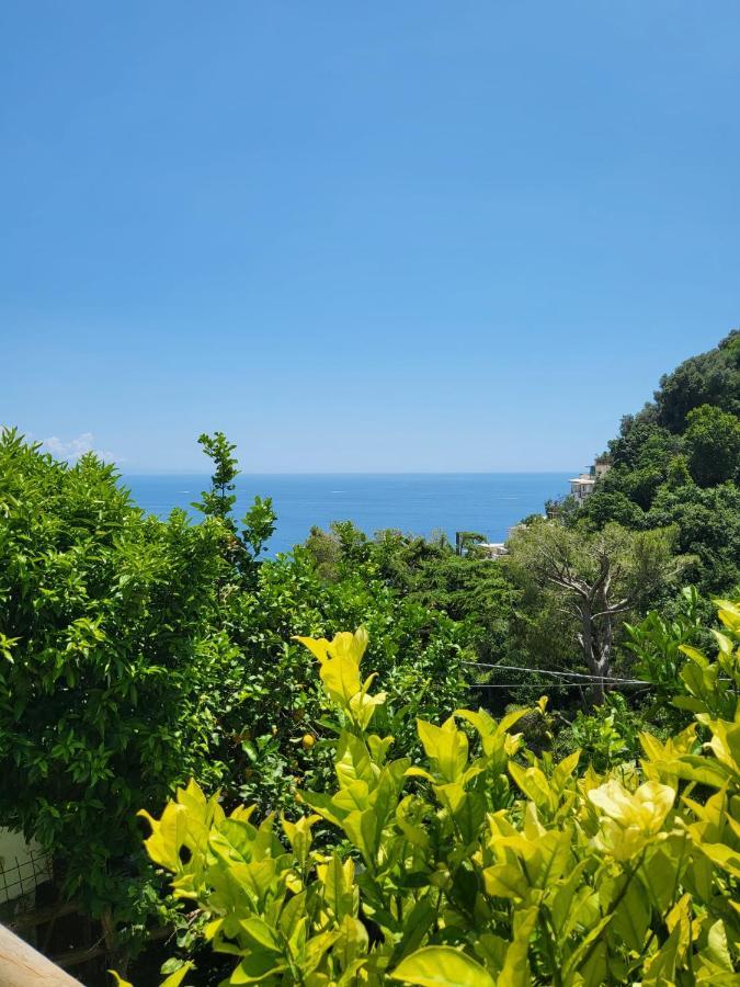 L'americano * Positano