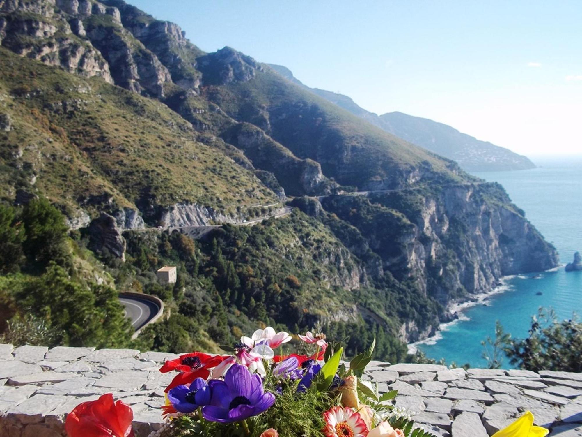 - Vanessa Positano