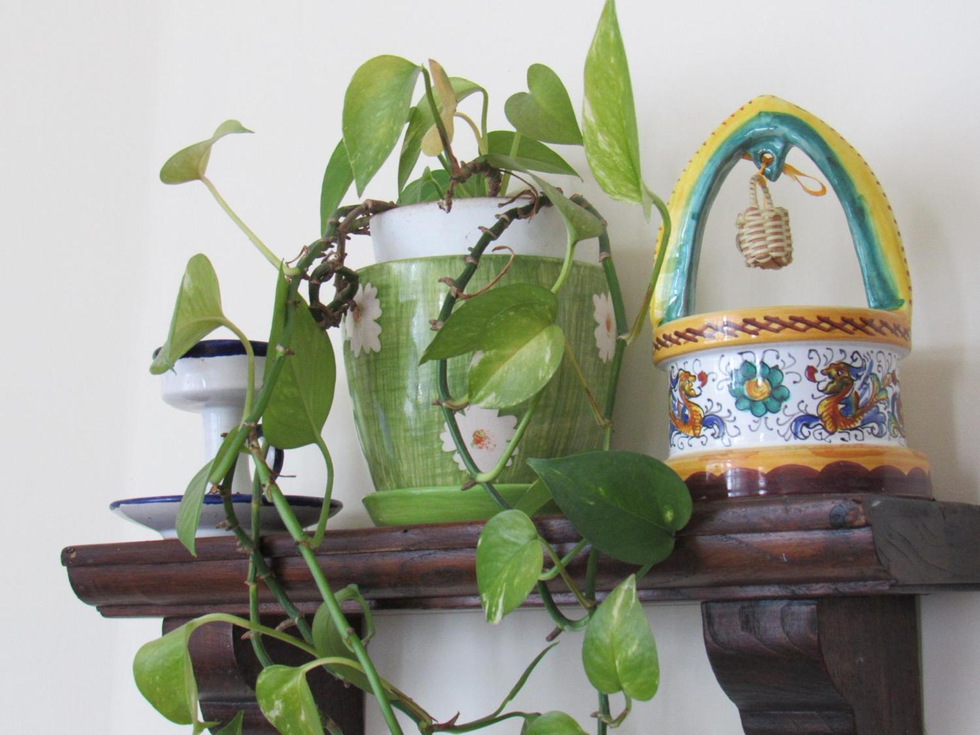 Il Libeccio Holiday home Positano