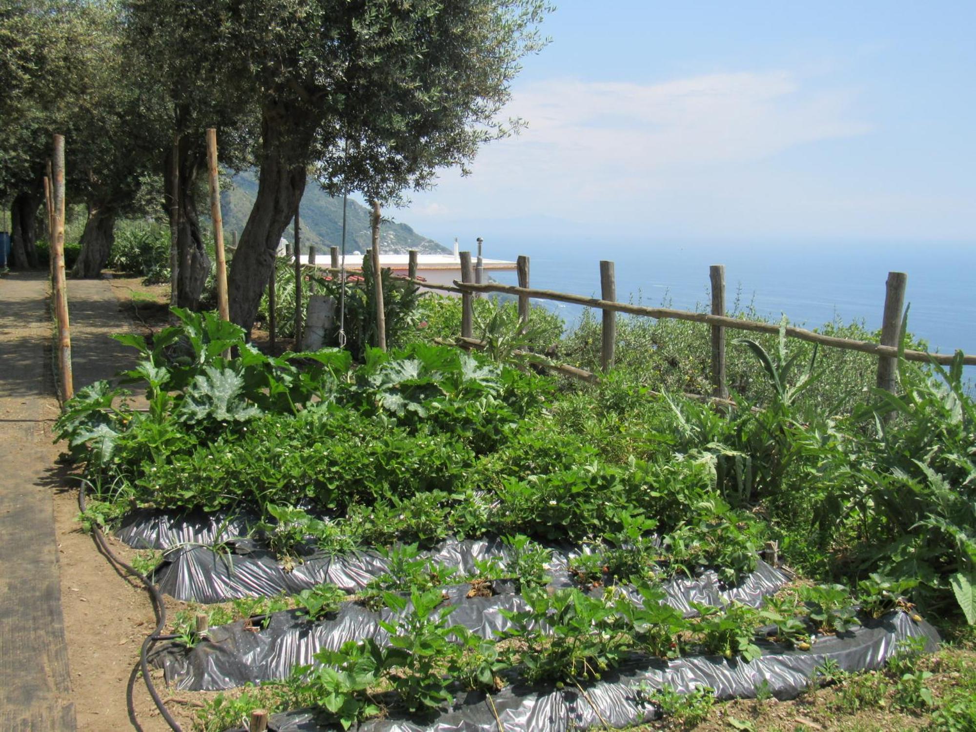 Il Libeccio * Positano