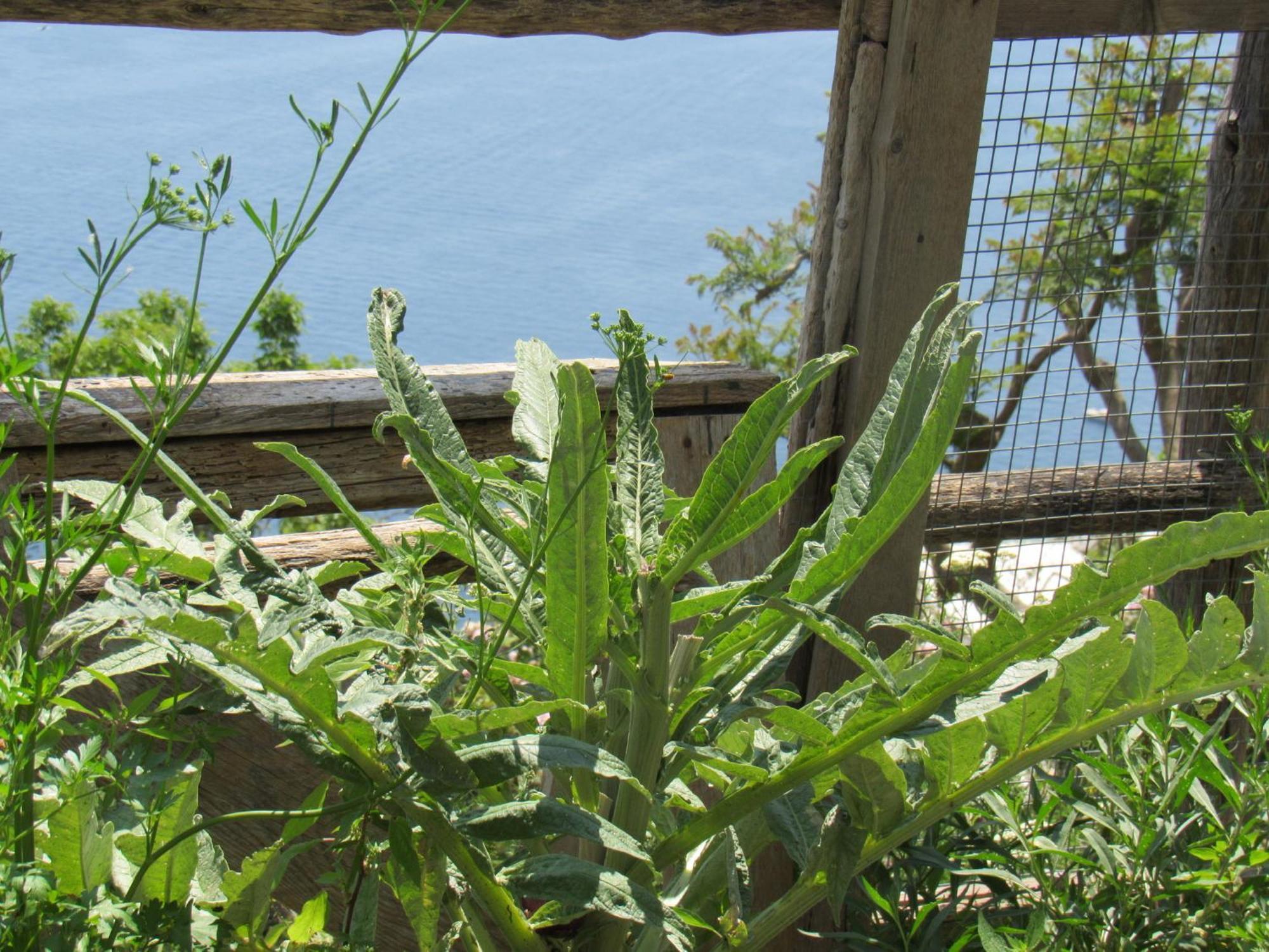 Holiday home Il Libeccio *
