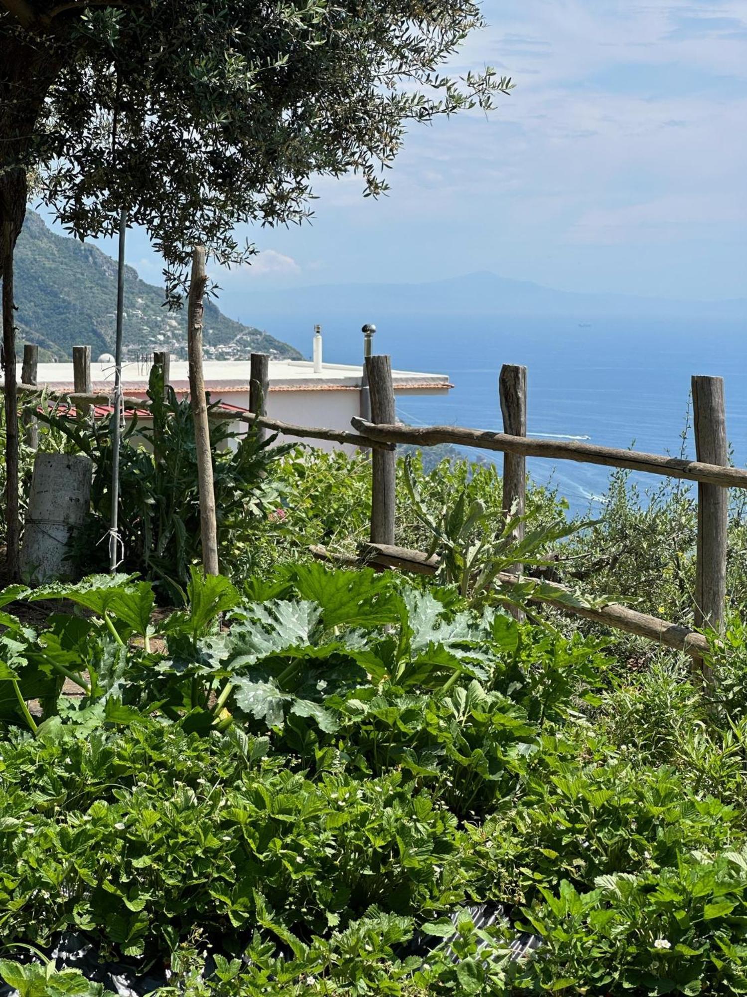 Il Libeccio Positano