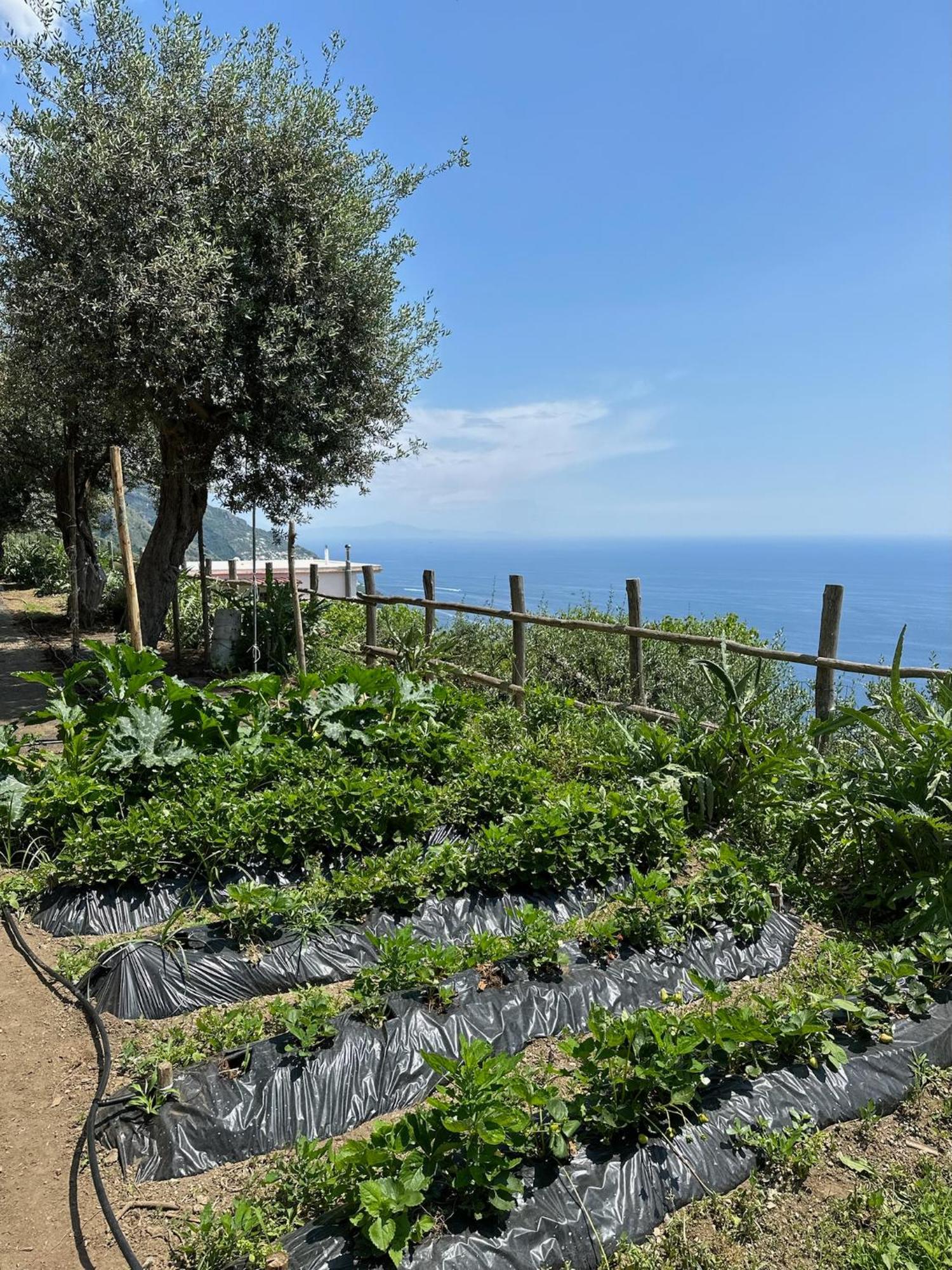 Il Libeccio Holiday home *