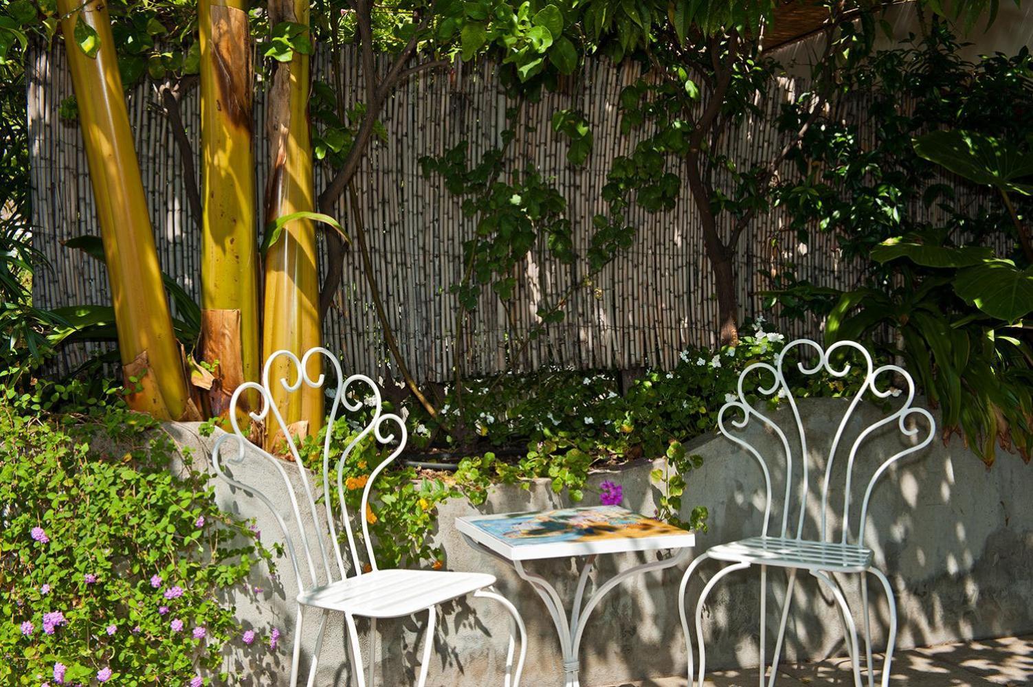 Bed & Breakfast Rosa