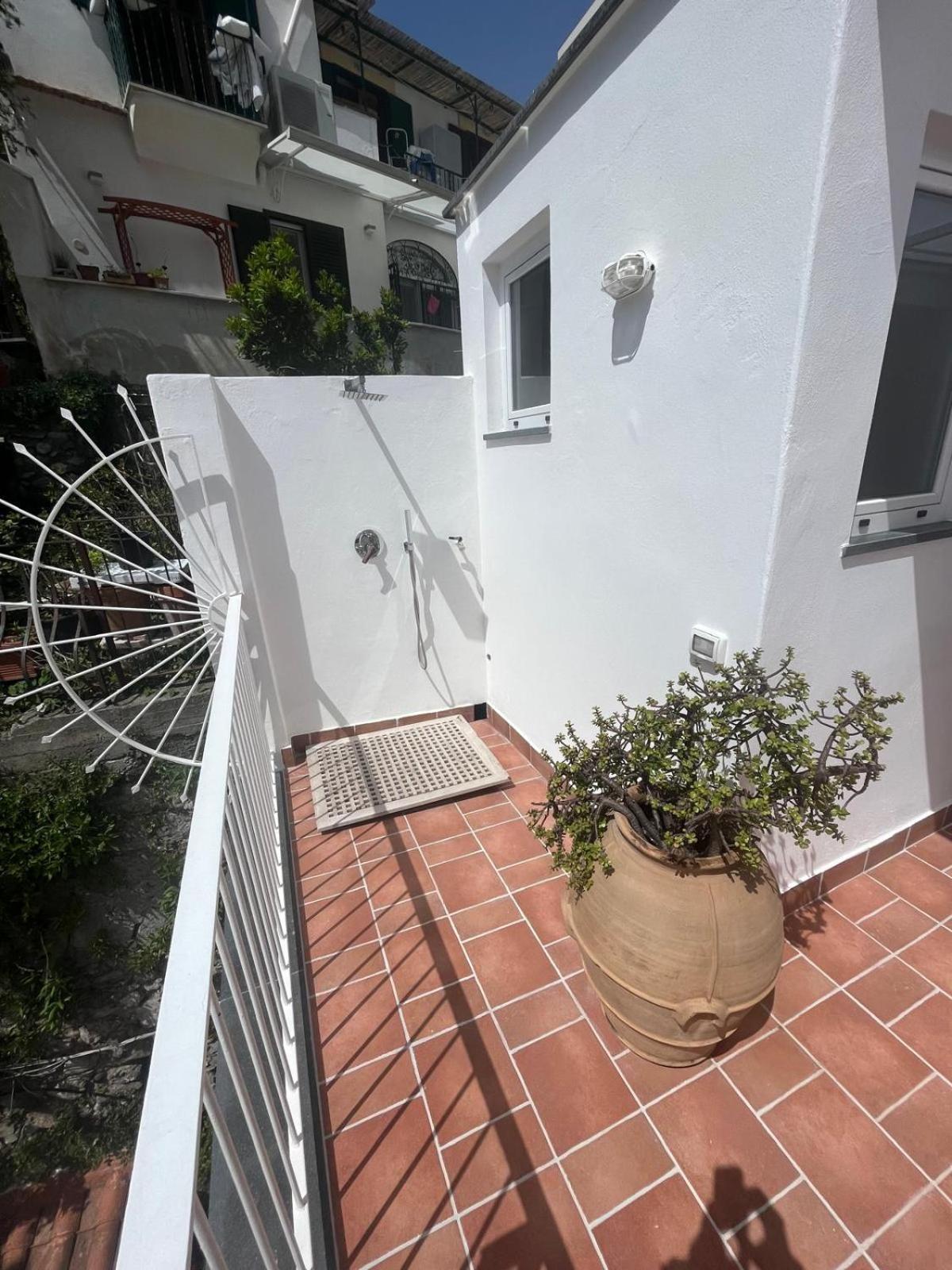 Apartment Casa