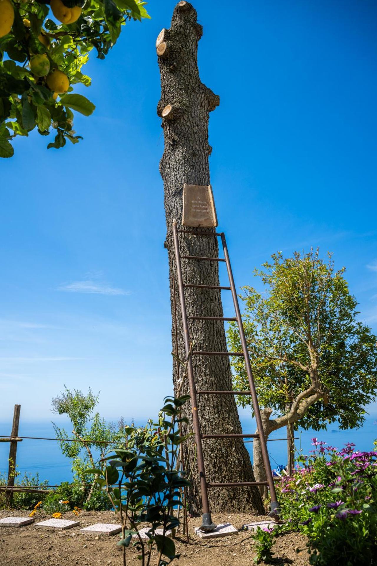 Guest house Dimora Giuela Positano