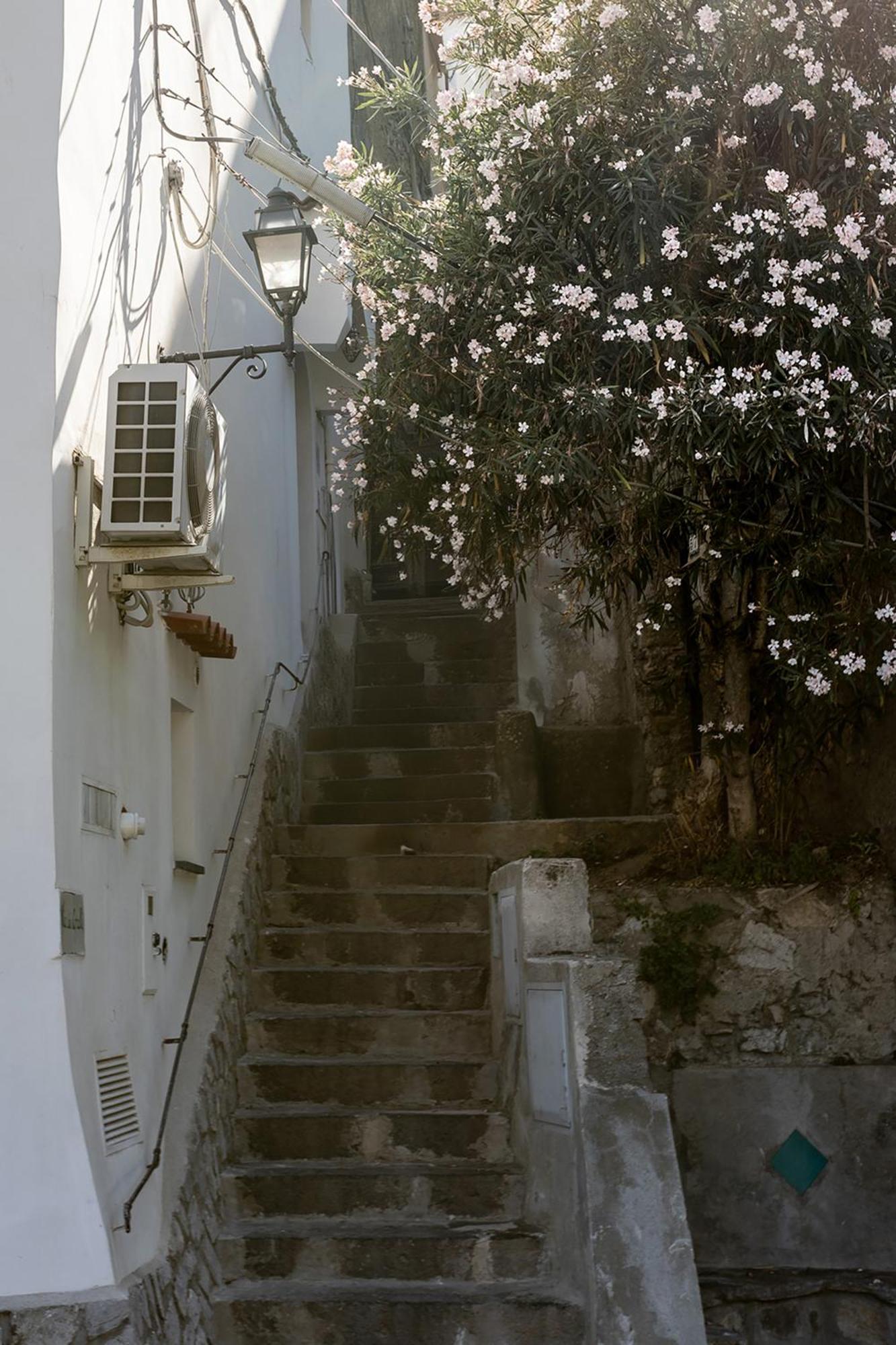 Guest house Malafemmena