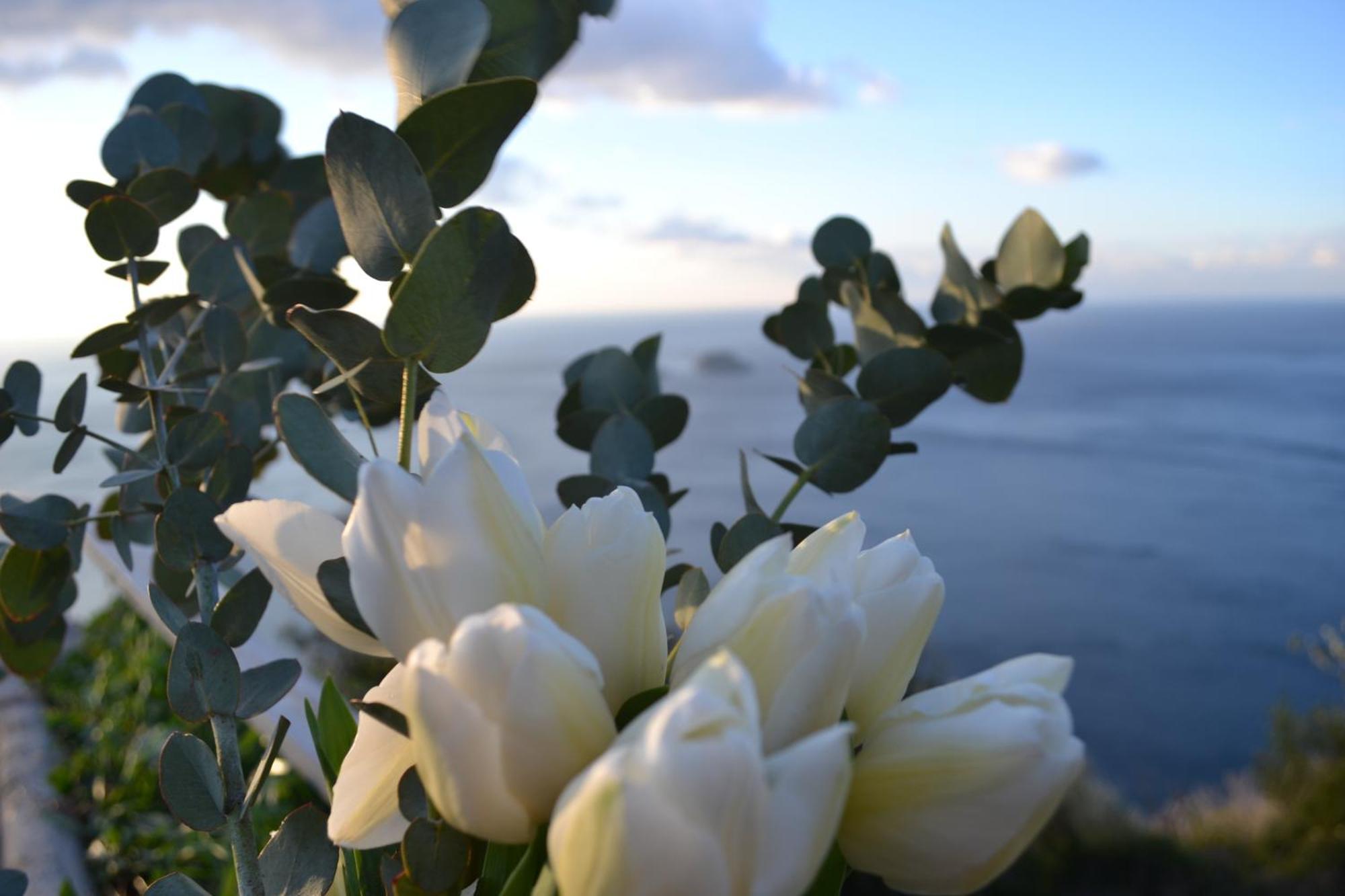 Casa La Bifora * Positano